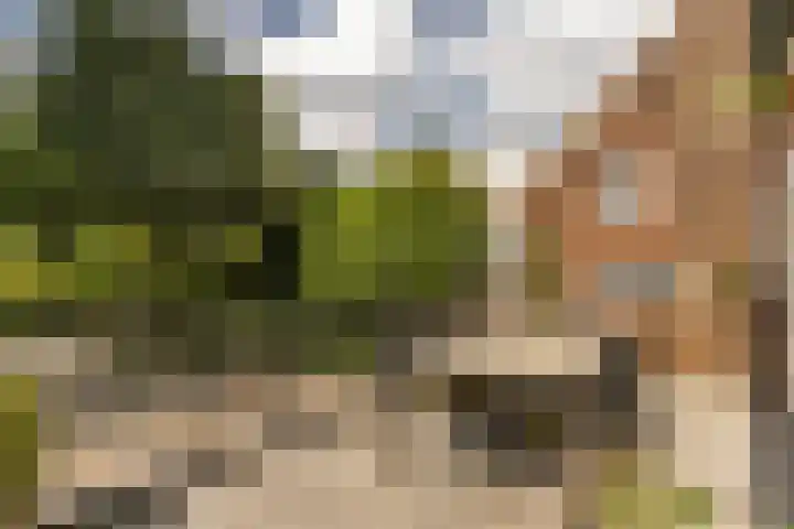 Beekstraat 4 Urmond thumbnail 43