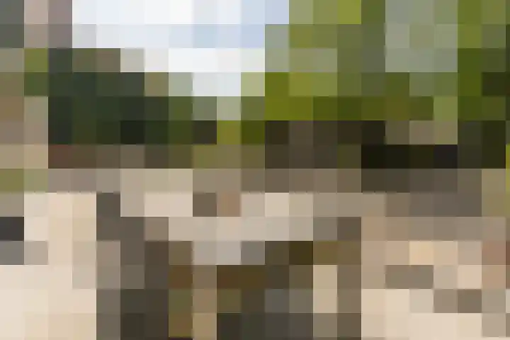 Beekstraat 4 Urmond thumbnail 44