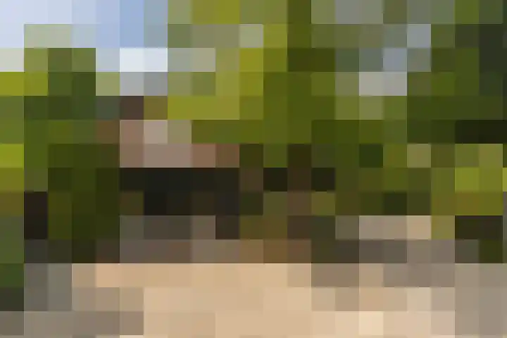 Beekstraat 4 Urmond thumbnail 46