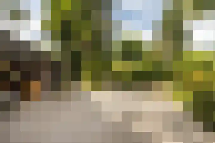 Beekstraat 4 Urmond thumbnail 47