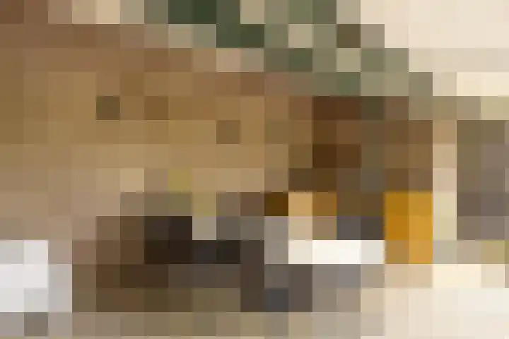 Beekstraat 4 Urmond thumbnail 48