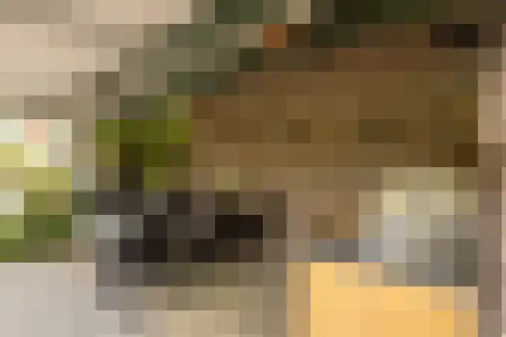 Beekstraat 4 Urmond thumbnail 49