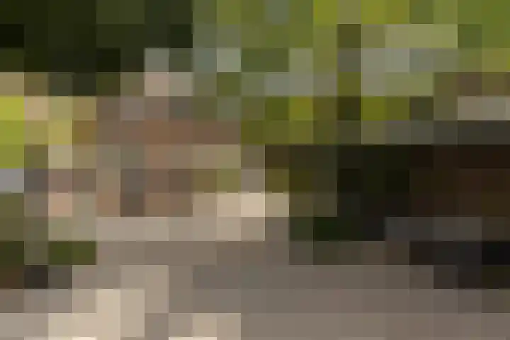 Beekstraat 4 Urmond thumbnail 50