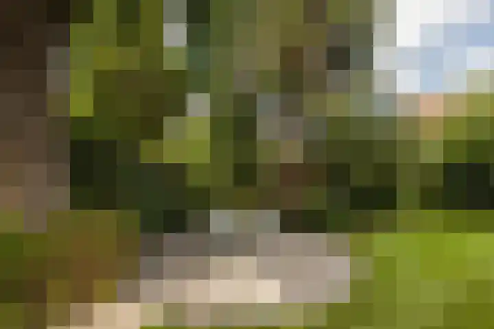 Beekstraat 4 Urmond thumbnail 54