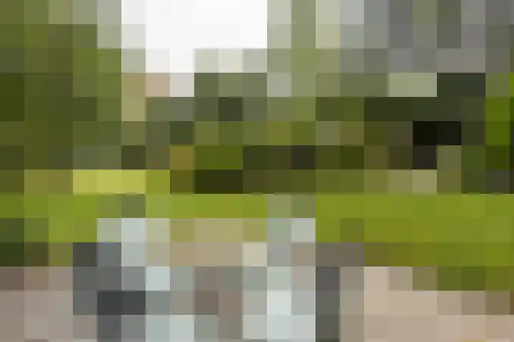 Beekstraat 4 Urmond thumbnail 55