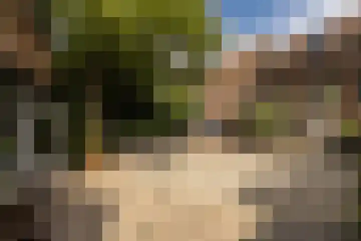 Beekstraat 4 Urmond thumbnail 64