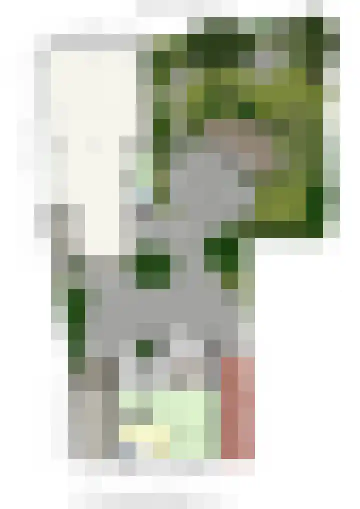 Beekstraat 4 Urmond thumbnail 73
