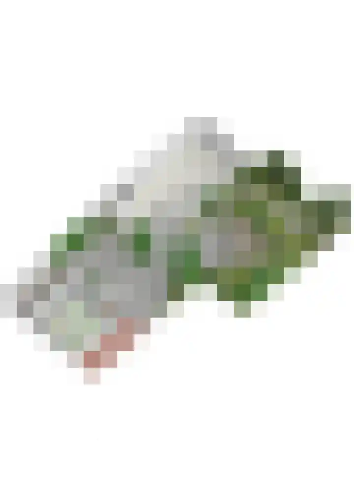 Beekstraat 4 Urmond thumbnail 74