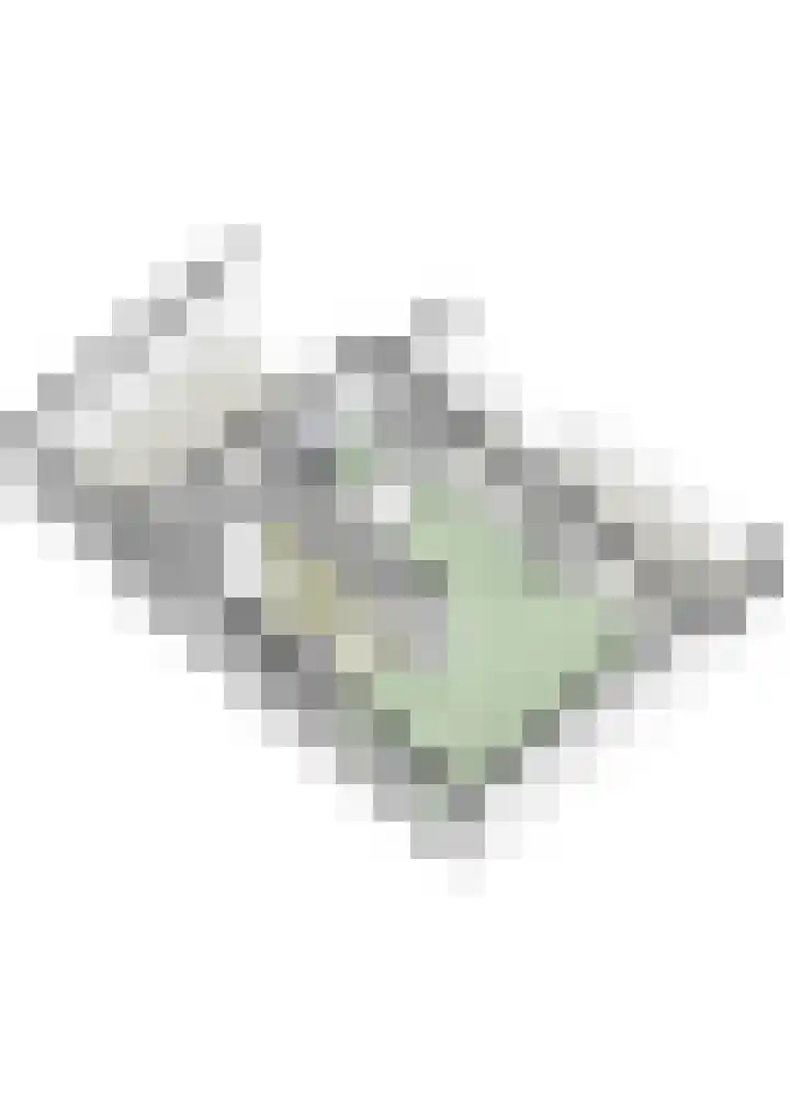 Beekstraat 4 Urmond thumbnail 76
