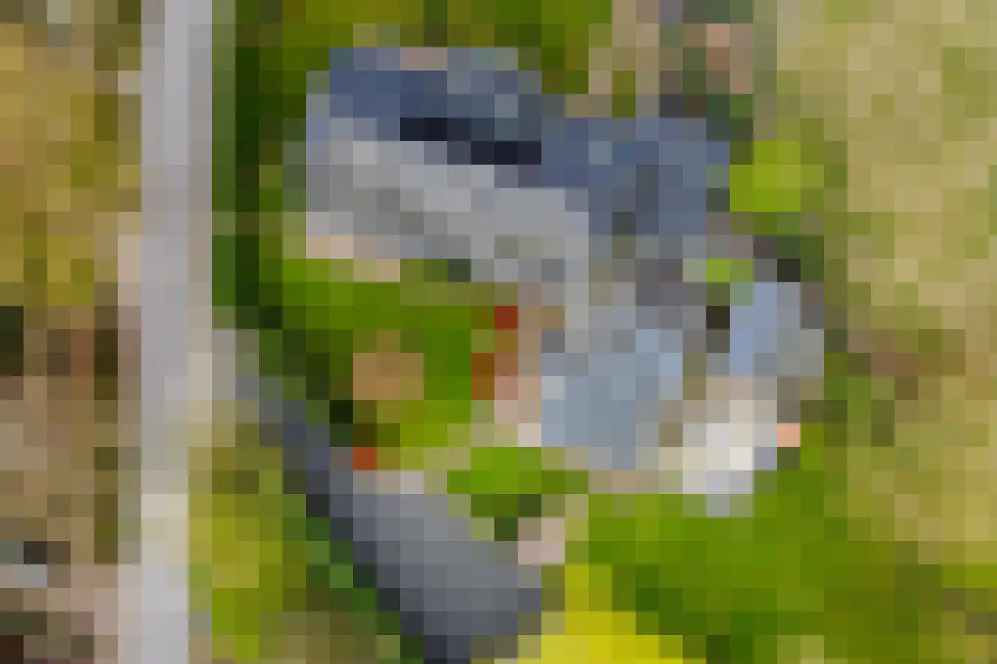 Beekstraat 42 Gaanderen thumbnail 101