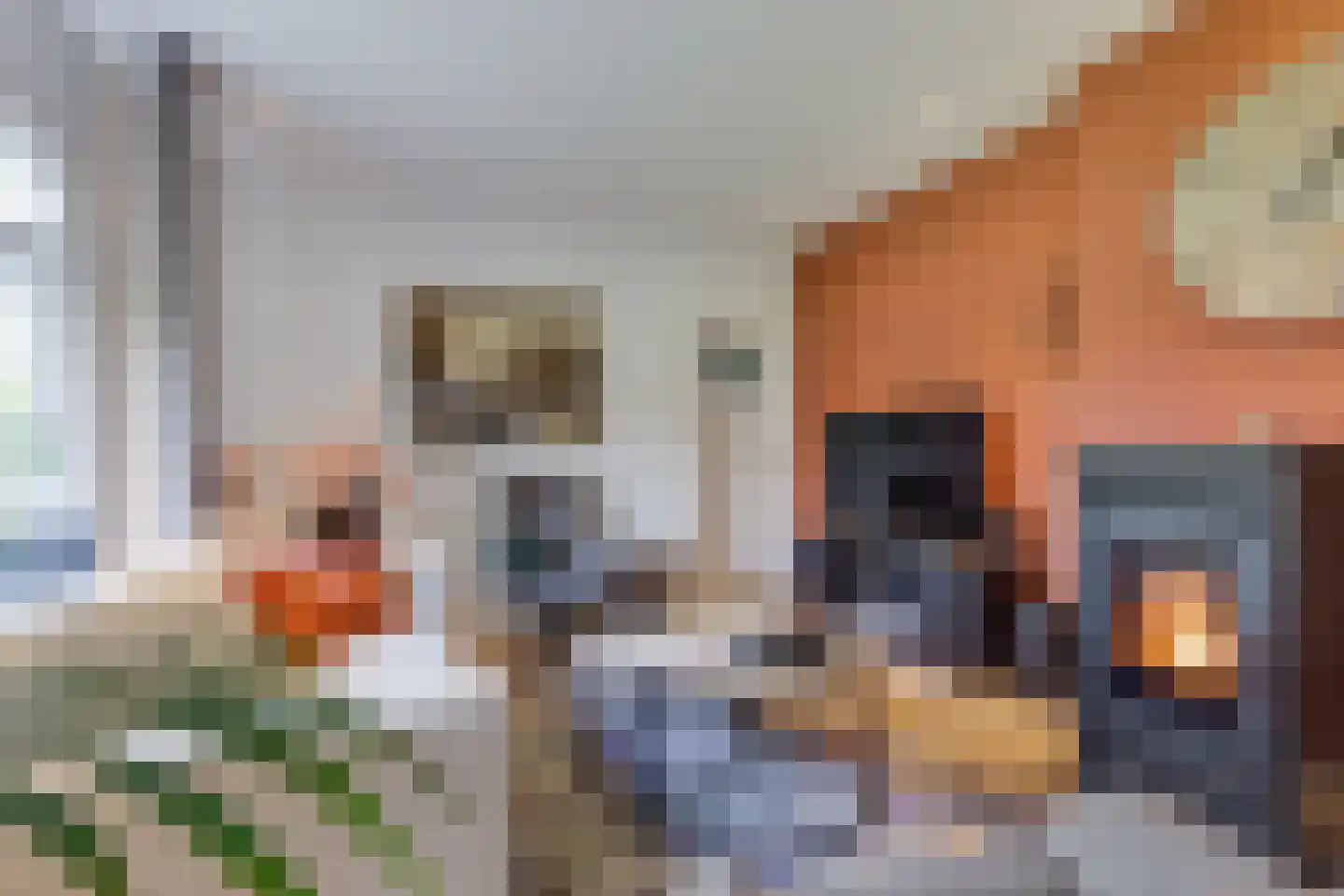Beekstraat 42 Gaanderen thumbnail 15