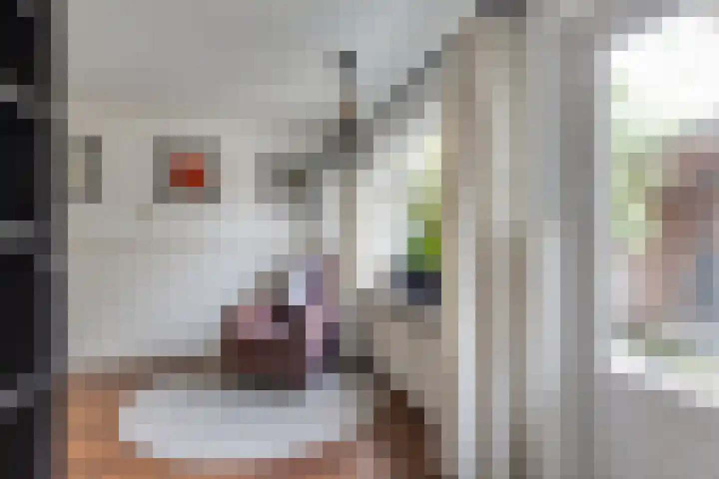 Beekstraat 42 Gaanderen thumbnail 28
