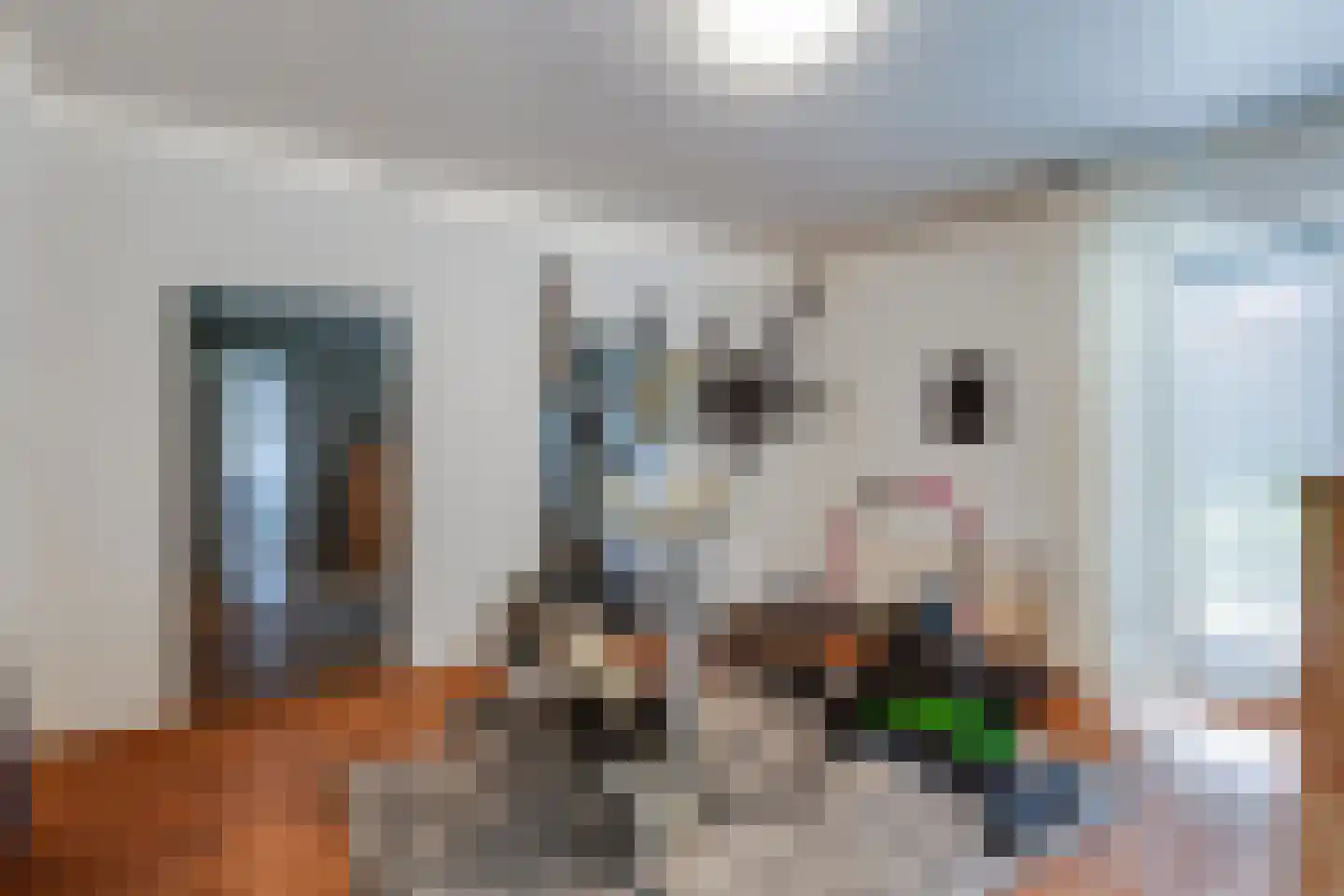 Beekstraat 42 Gaanderen thumbnail 30