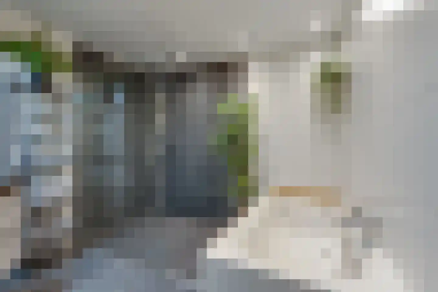 Beekstraat 42 Gaanderen thumbnail 31