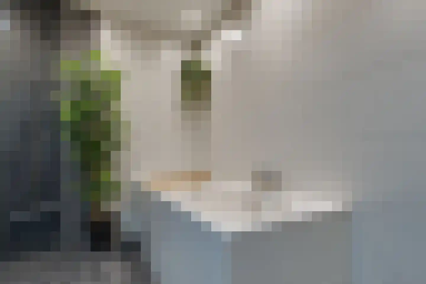 Beekstraat 42 Gaanderen thumbnail 36