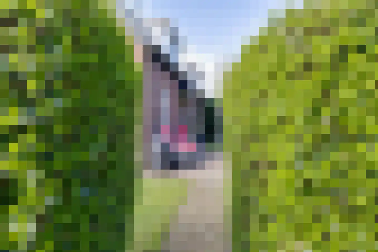 Beekstraat 42 Gaanderen thumbnail 56
