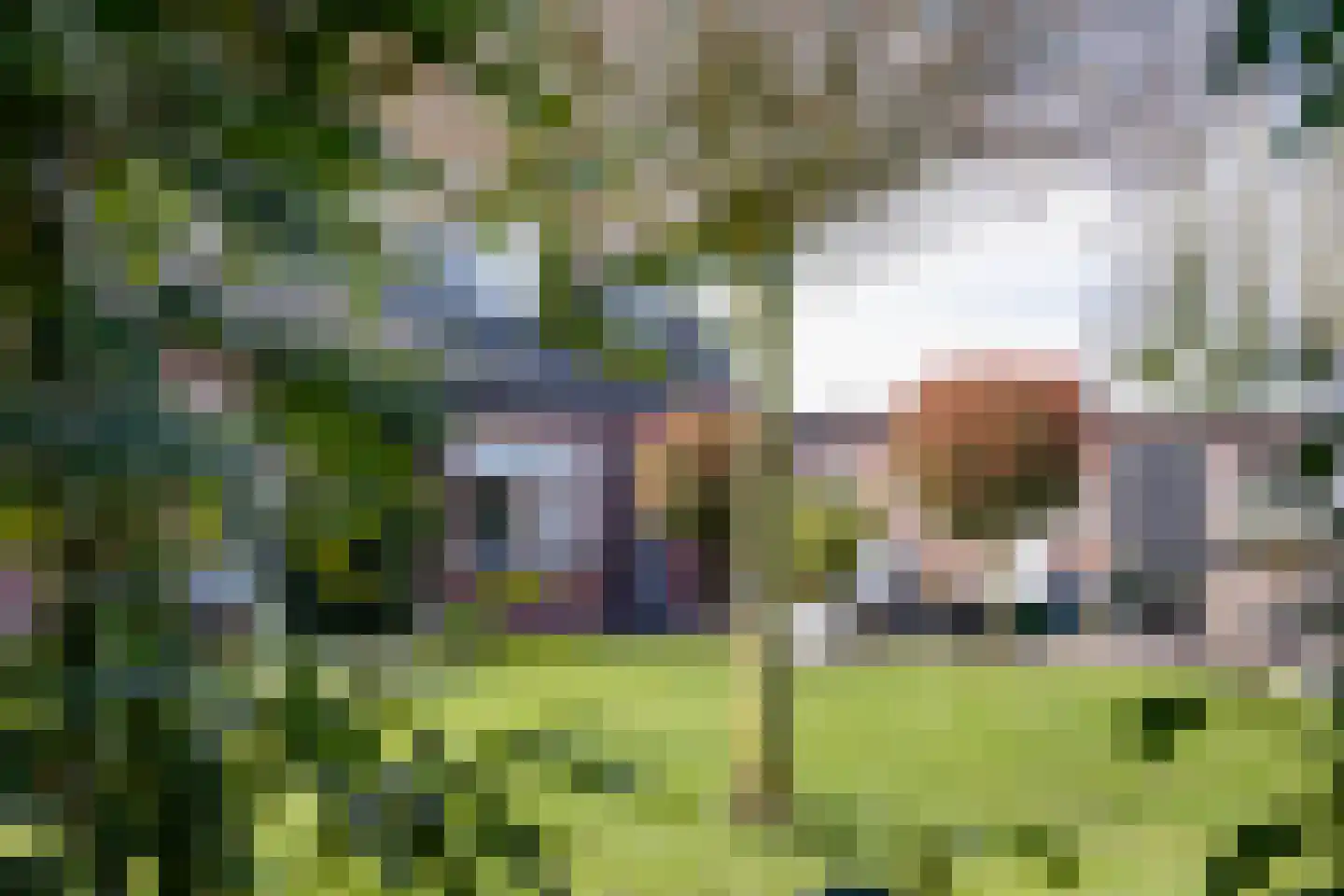 Beekstraat 42 Gaanderen thumbnail 59