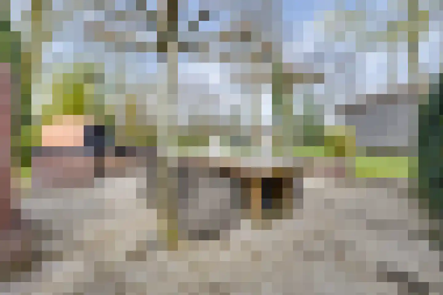 Beekstraat 42 Gaanderen thumbnail 63