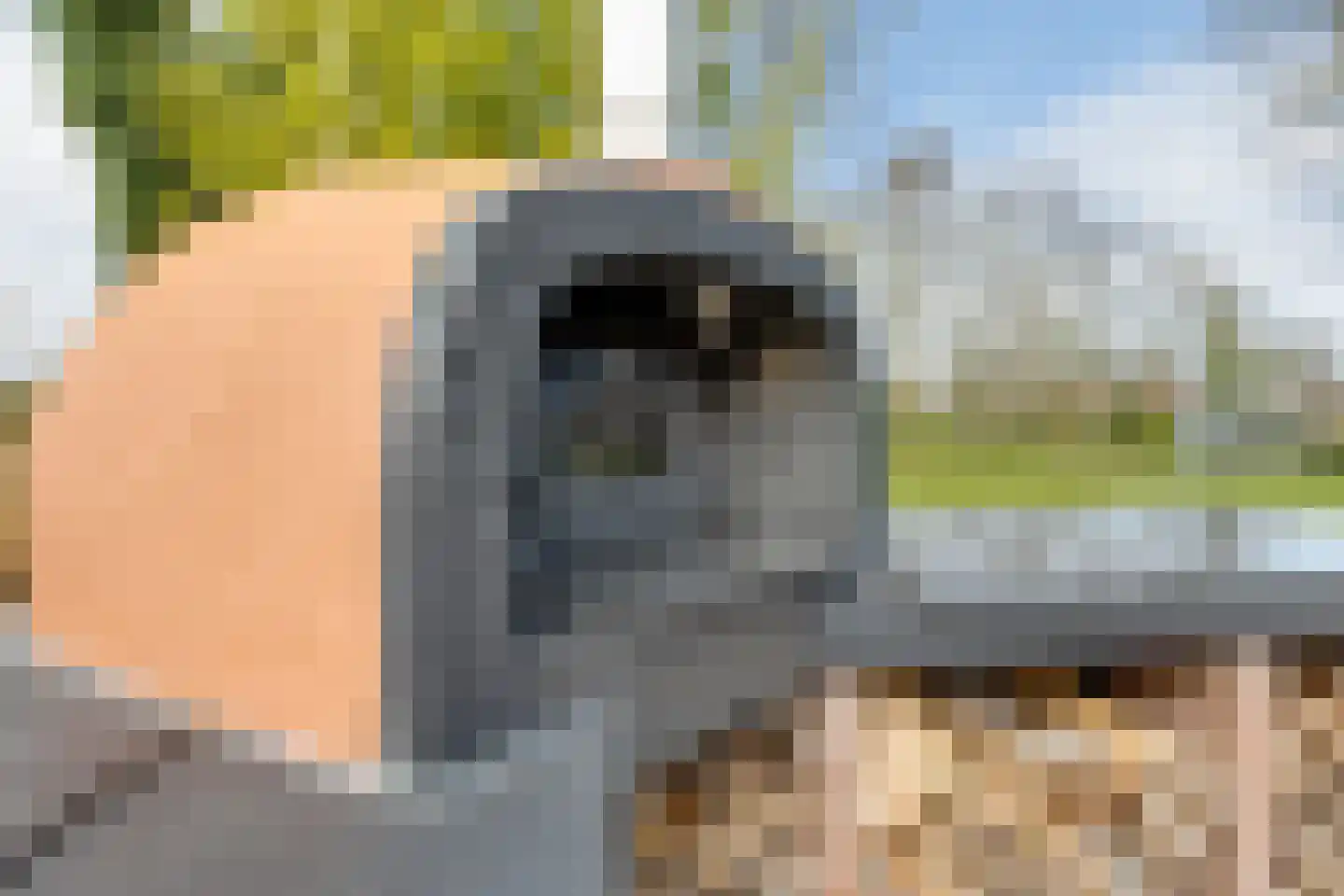 Beekstraat 42 Gaanderen thumbnail 64