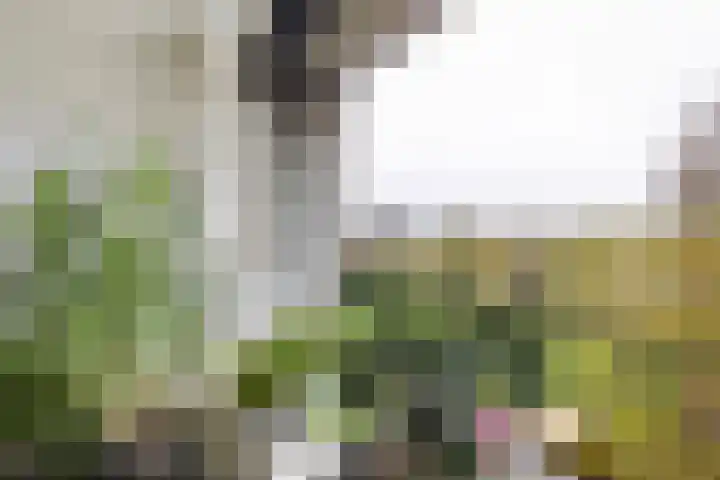 Beekstraat 42 Gaanderen thumbnail 65
