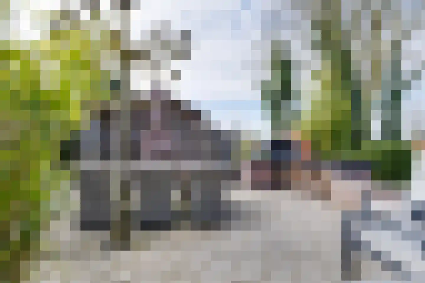 Beekstraat 42 Gaanderen thumbnail 66