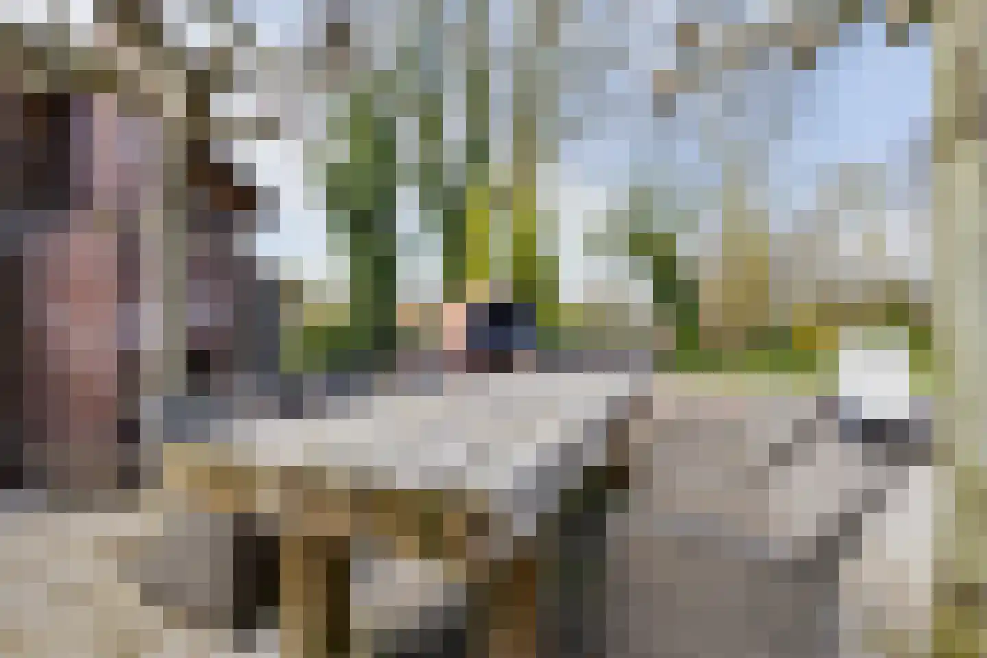 Beekstraat 42 Gaanderen thumbnail 67