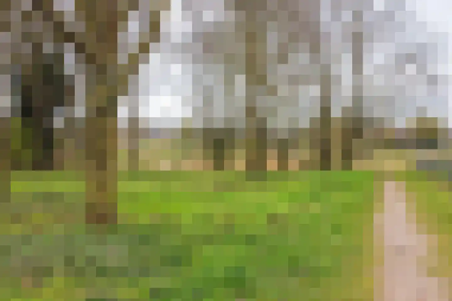 Beekstraat 42 Gaanderen thumbnail 75