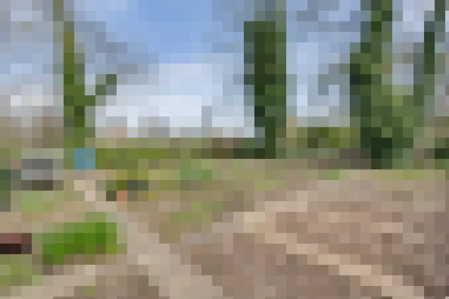 Beekstraat 42 Gaanderen thumbnail 89