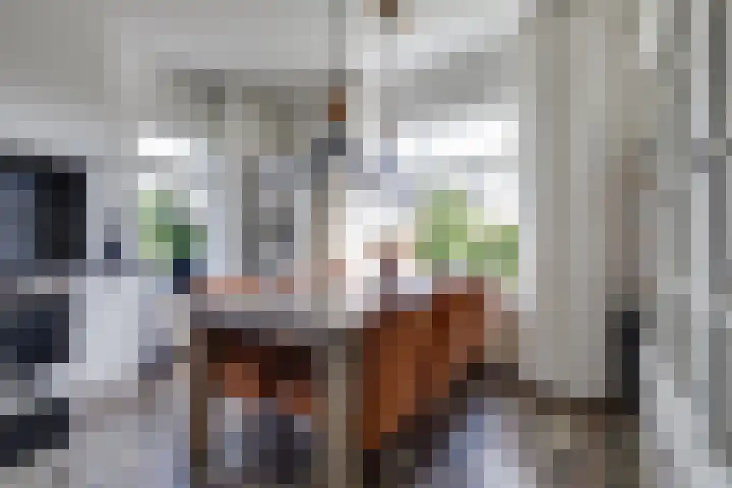 Beekstraat 42 Gaanderen thumbnail 9