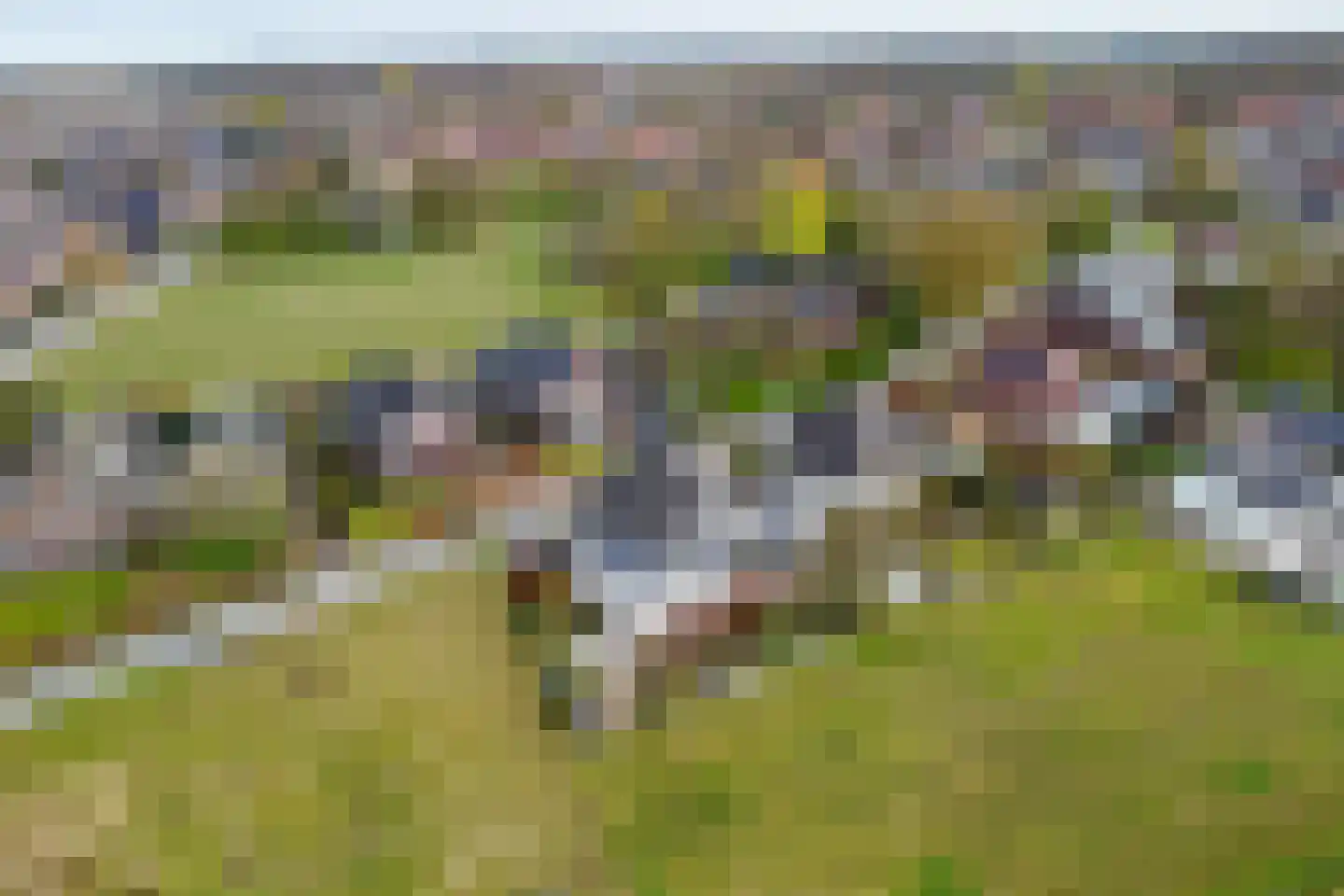 Beekstraat 42 Gaanderen thumbnail 99