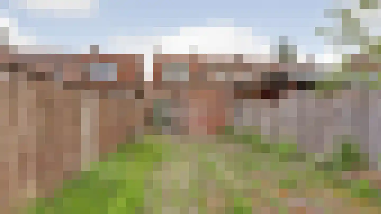 Beekstraat 43 Almelo thumbnail 20