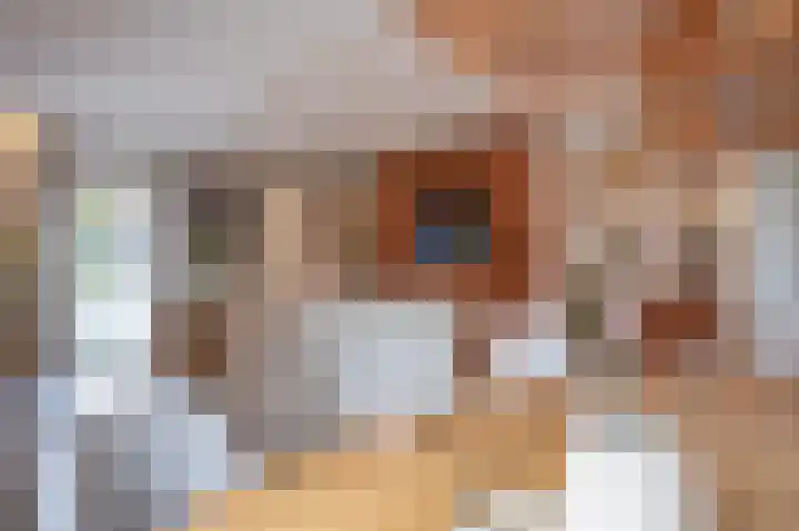 Beekstraat 43 Grevenbicht thumbnail 15