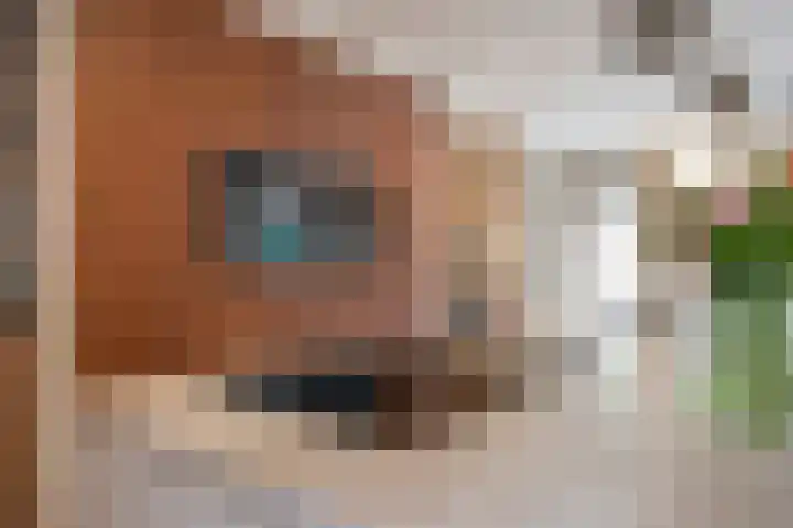 Beekstraat 43 Grevenbicht thumbnail 19