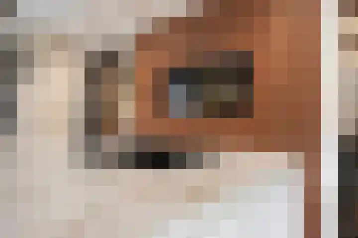 Beekstraat 43 Grevenbicht thumbnail 22