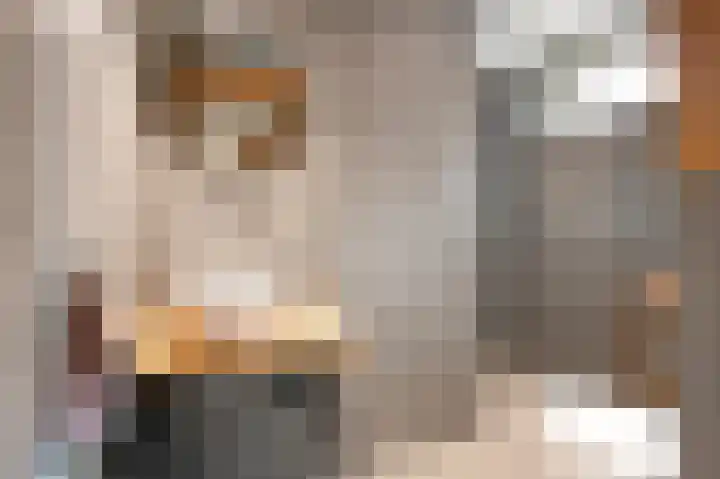 Beekstraat 43 Grevenbicht thumbnail 28