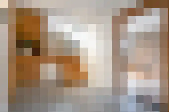 Beekstraat 43 Grevenbicht thumbnail 31