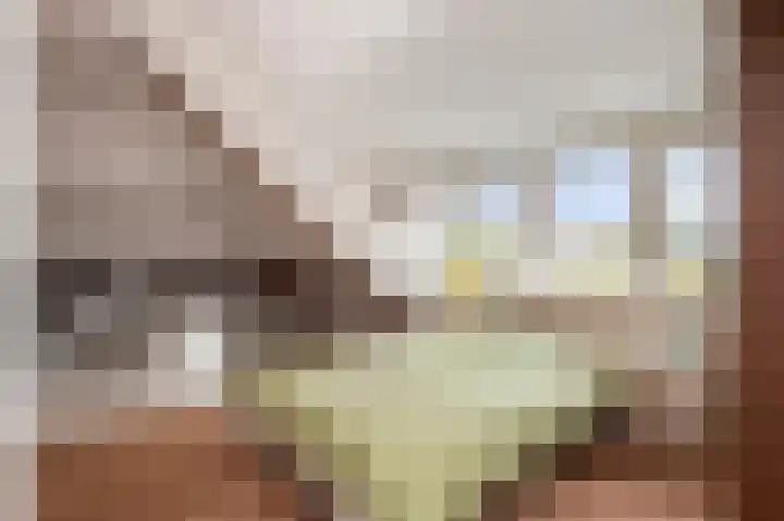 Beekstraat 43 Grevenbicht thumbnail 44