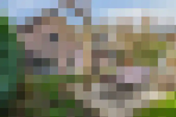 Beekstraat 43 Grevenbicht thumbnail 52