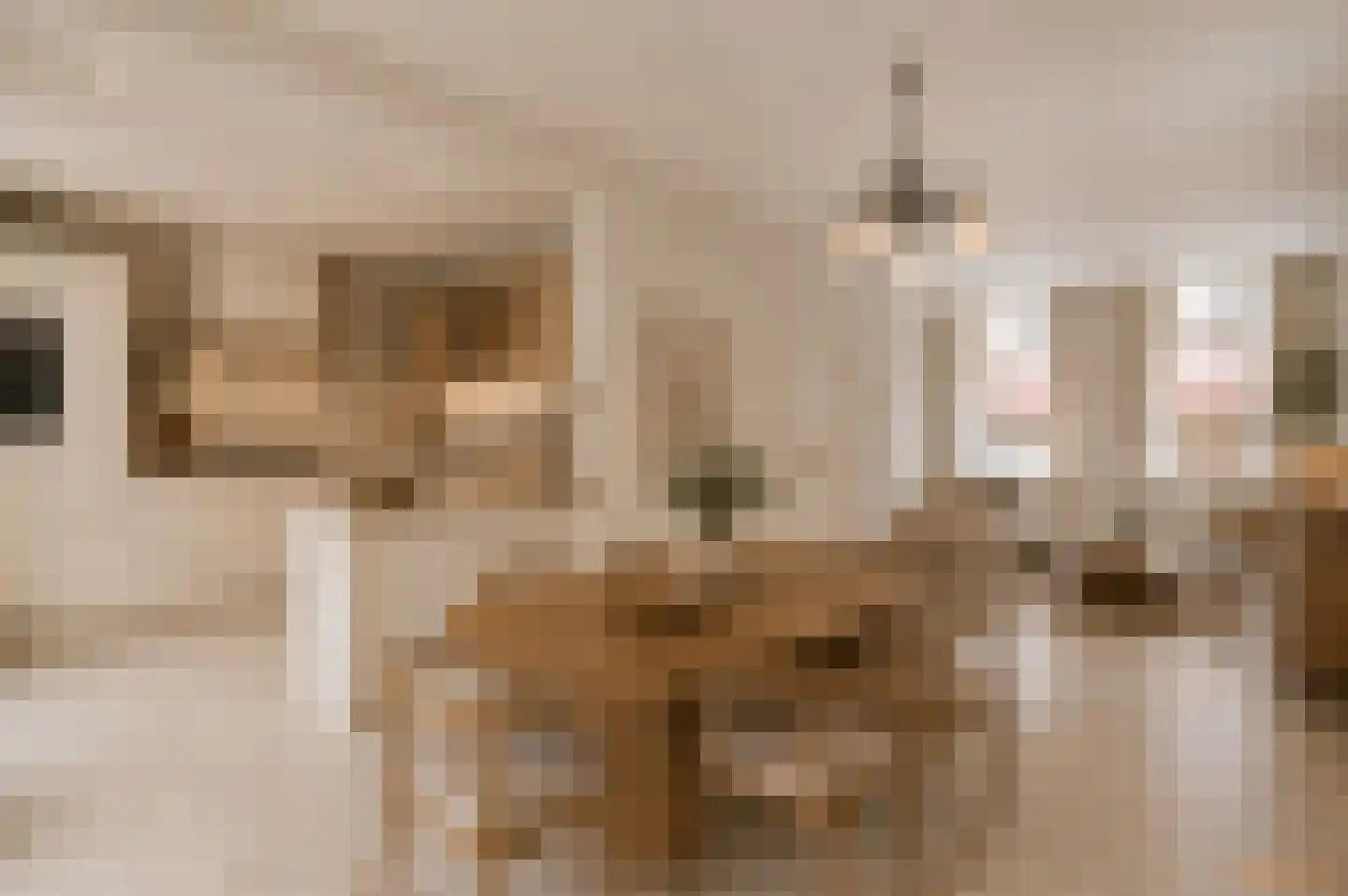Beekstraat 44 Meerssen thumbnail 10