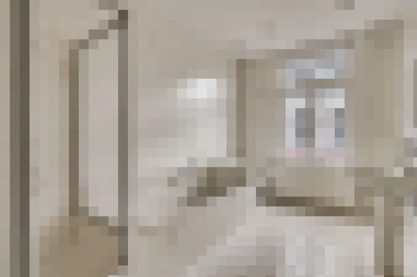 Beekstraat 44 Meerssen thumbnail 17