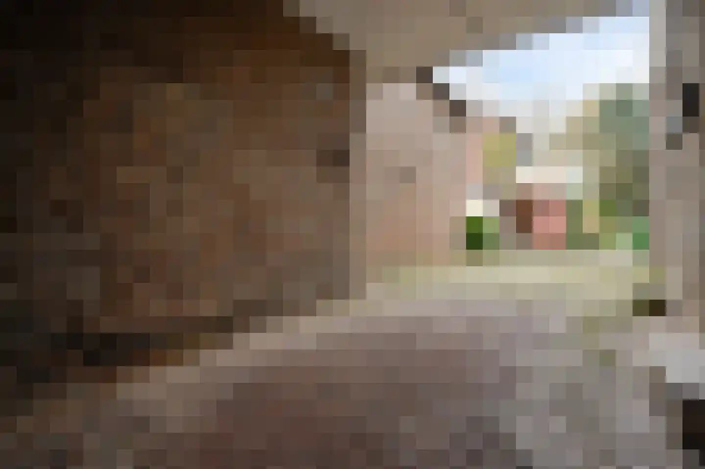 Beekstraat 44 Meerssen thumbnail 21