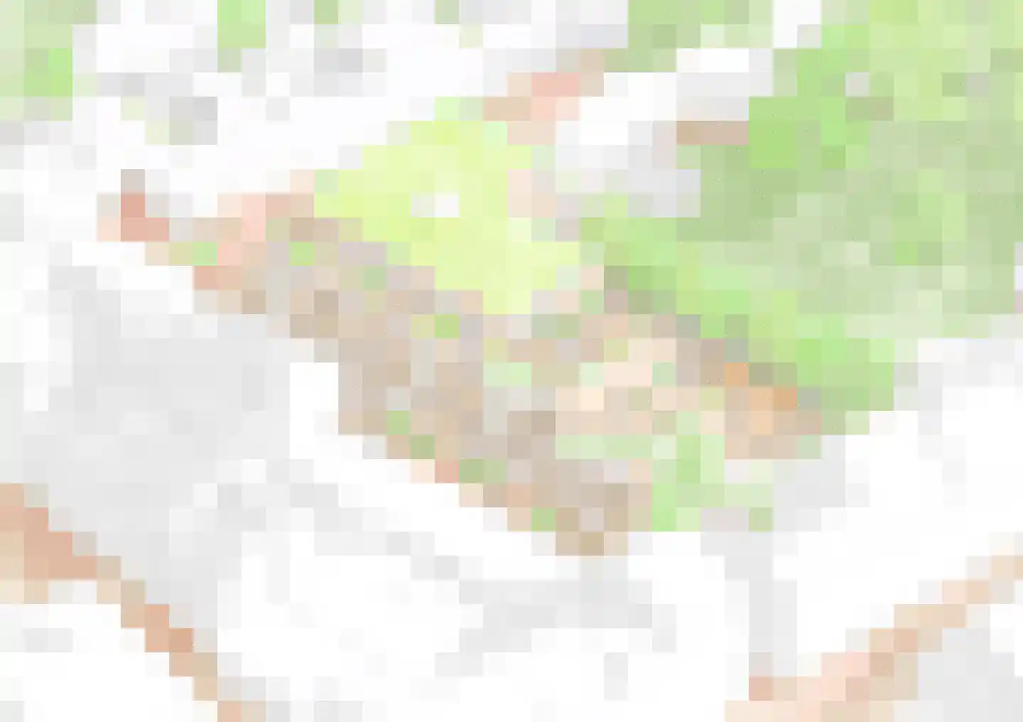 Beekstraat 44 Meerssen thumbnail 24