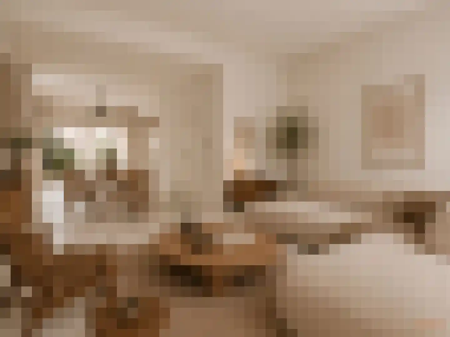 Beekstraat 44 Meerssen thumbnail 8