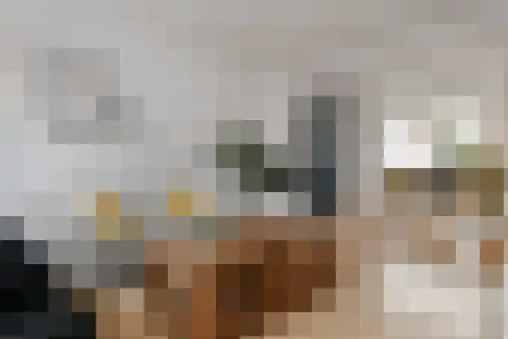 Beekstraat 49 Panningen thumbnail 7
