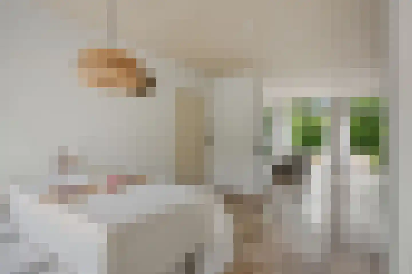 Beekstraat 5 Berlicum thumbnail 10