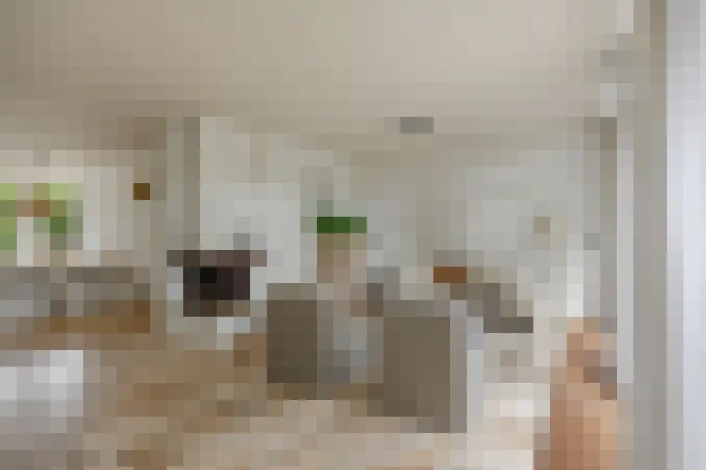 Beekstraat 5 Berlicum thumbnail 12
