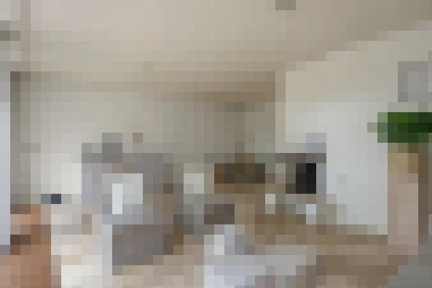 Beekstraat 5 Berlicum thumbnail 13