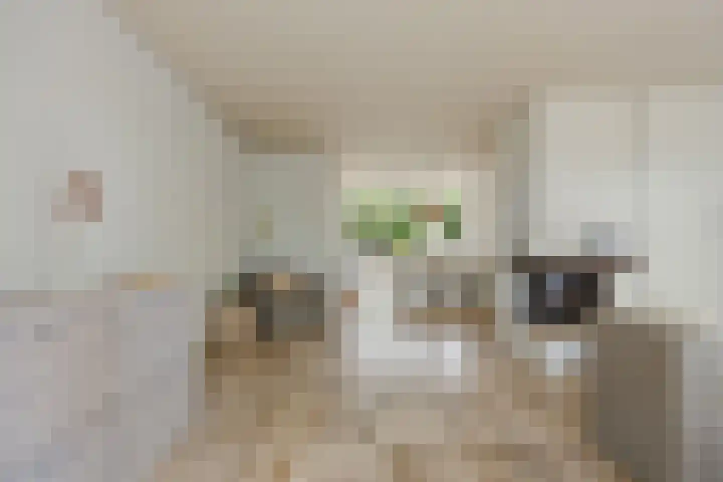Beekstraat 5 Berlicum thumbnail 15