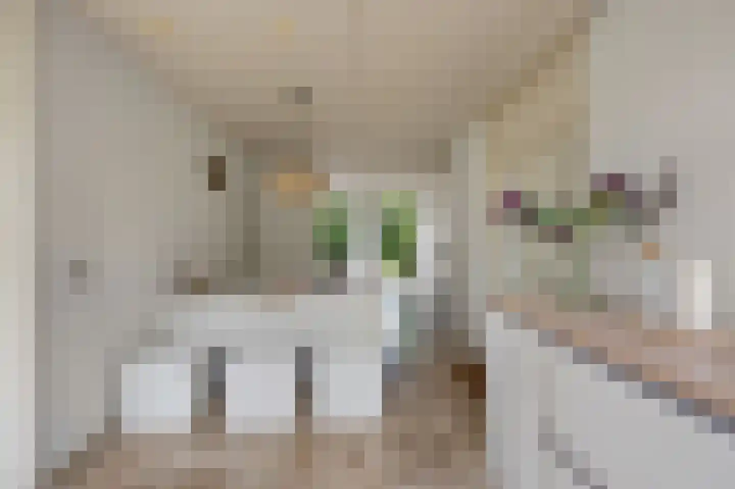 Beekstraat 5 Berlicum thumbnail 23
