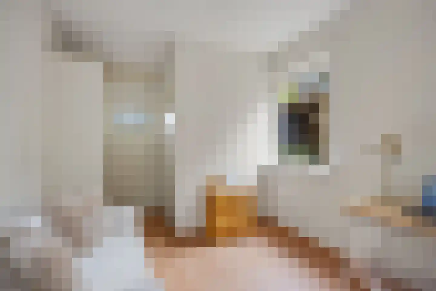 Beekstraat 5 Berlicum thumbnail 30